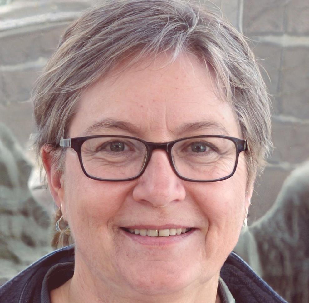 Instructoare platformă